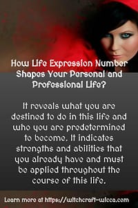 How Life Expression Number Shapes Your Personal and Professional Life?