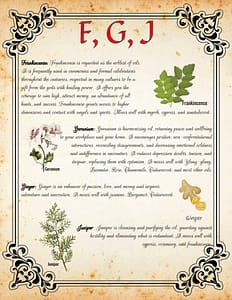 Best Essential Spiritual Aromatherapy Oils, Printable Book of Shadows Pages