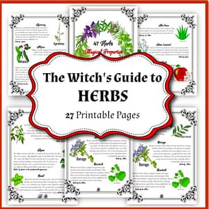 47 Wiccan Herbs Magical Property for Emotional and Spiritual Healing, Green Witch Grimoire, Starter Kit for Kitchen Witchery