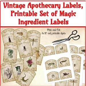 Vintage Apothecary Labels, Printable Set of Magic Ingredient Labels, Party Sticker