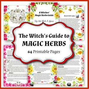 Wiccan Magic Herbs and Spices, 126 Spiritual and Medicinal Herbs for Witches, Starter Kit for Kitchen Witchery
