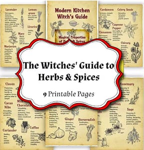 Herbs & Spices Magical Uses, Kitchen Witchery, Green Cottage Witch, Wicca Starter Kit, Printable Grimoire Pages