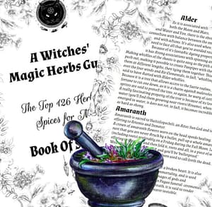 126 Pagan Magical Plants, Spaces and Herbs Correspondence, Kitchen Witchery, Basic Witchcraft, Green Witch Grimoire Magic Guide